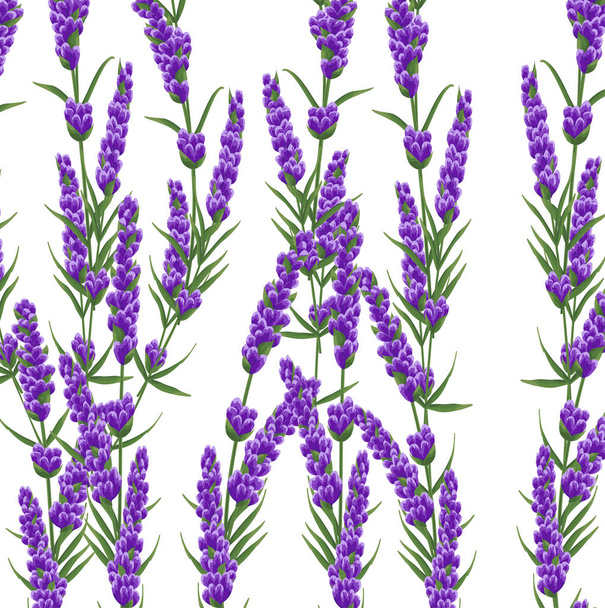 紫のラベンダーの花、水彩風の背景。エレガントな花。ベクトル図 - ベクター画像