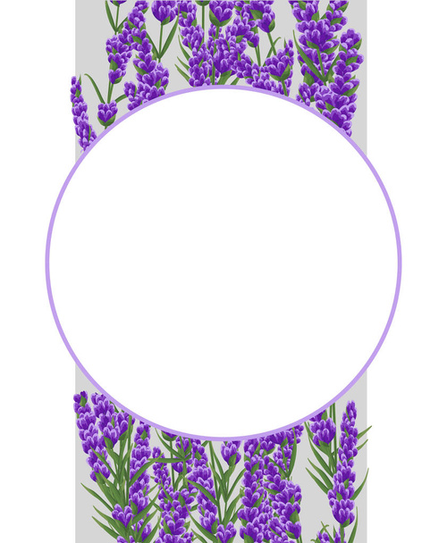 background of purple lavender flowers, watercolor flowers style. elegant flowers. vector illustration - Вектор, зображення