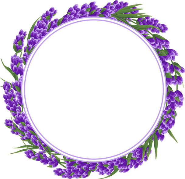 background of purple lavender flowers, watercolor style flowers. elegant flowers. vector illustration - Вектор, зображення
