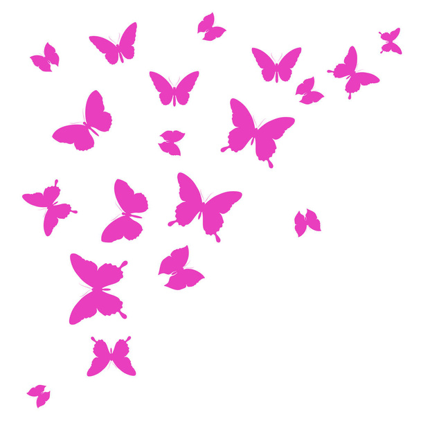 conjunto de belas borboletas rosa isolado no fundo branco, vetor, ilustração
 - Vetor, Imagem