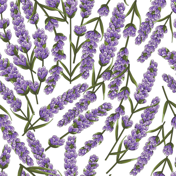 seamless pattern of purple lavender flowers, watercolor style flowers. elegant flowers. vector backgroun - Вектор, зображення