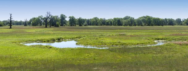 panoramic landscape with big wide meadow and little river - Foto, Imagem