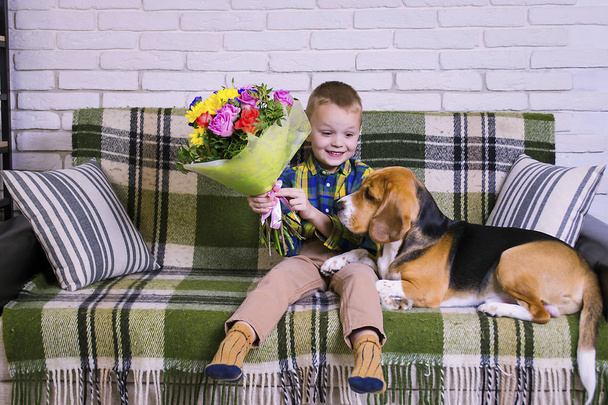 funny boy with a bouquet of flowers and a dog Beagle on the sofa - Zdjęcie, obraz