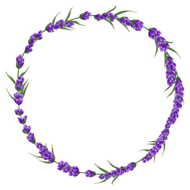 background of purple lavender flowers, watercolor flowers style. elegant flowers. vector illustration - Vector, Image