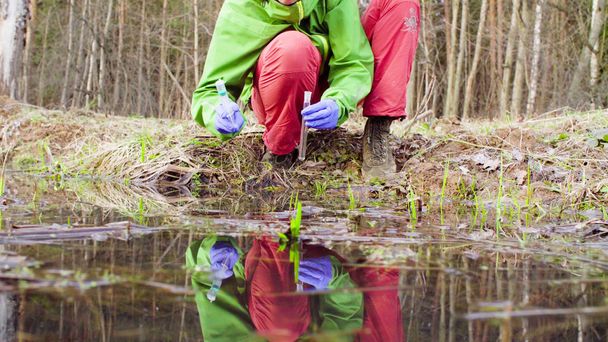 Ecologista científico en el bosque tomando muestras de agua
 - Foto, Imagen