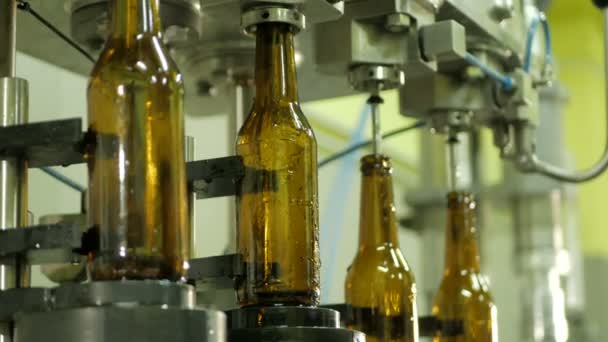 Technological line for bottling of beer - Footage, Video