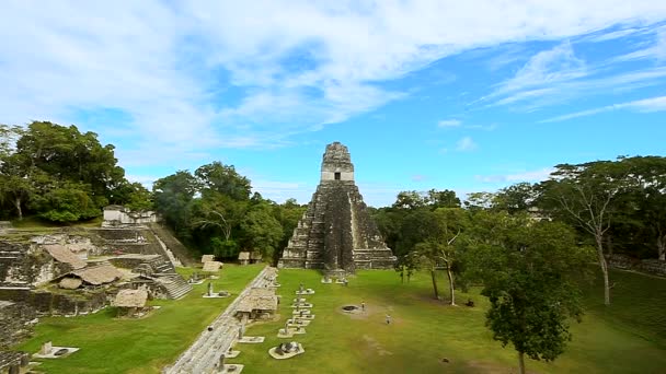 Velký letecký záběr nad pyramidami Tikal v Guatemale. - Záběry, video