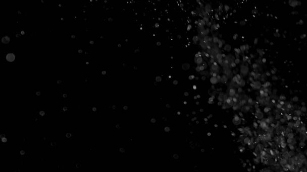 пылевое облако изолированный черный пузырь bokeh
 - Фото, изображение