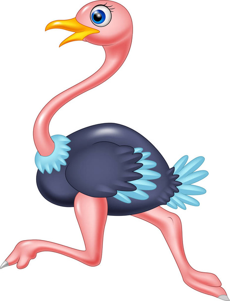 Bonito desenho animado avestruz correndo
 - Vetor, Imagem