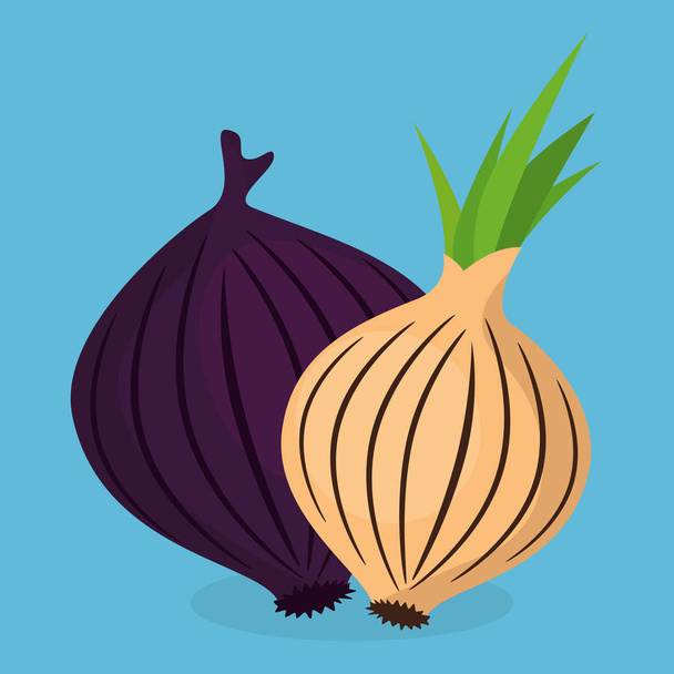 fresh onion vegetable icon - Vector, Image