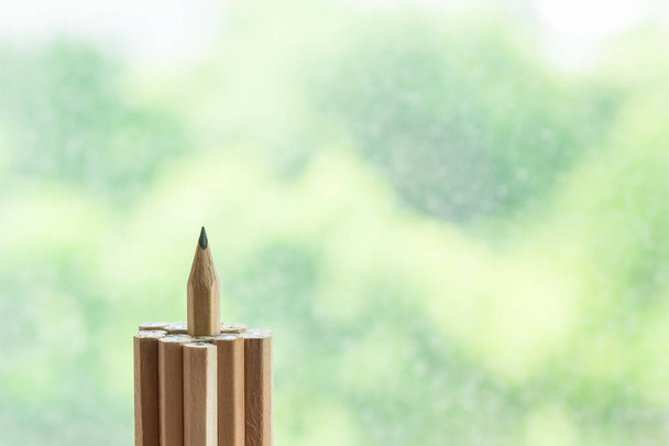 outstanding pencil stand higher than other. successful and achievement concept - Photo, Image