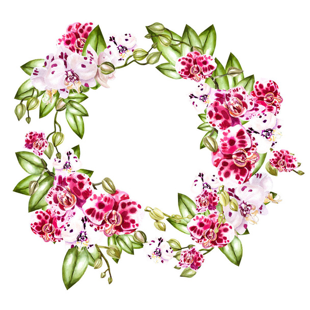 Beautiful, bright watercolor wreath with orchids.  - Photo, Image