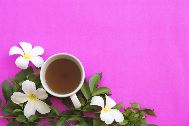 ζεστό τσάι ροφήματα βοτάνων με λευκό frangipani για πολύχρωμα ροζ φόντο - Φωτογραφία, εικόνα