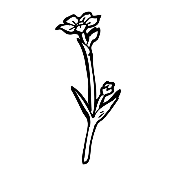 Dibujos animados de flor salvaje
 - Vector, imagen