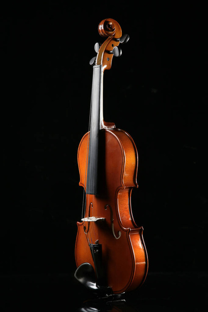 violín sobre fondo negro - Foto, Imagen