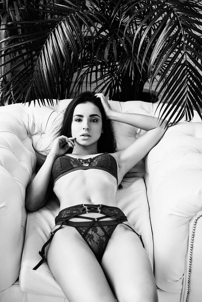Black and white photo of gorgeous young brunette woman in elegant lingerie posing - 写真・画像