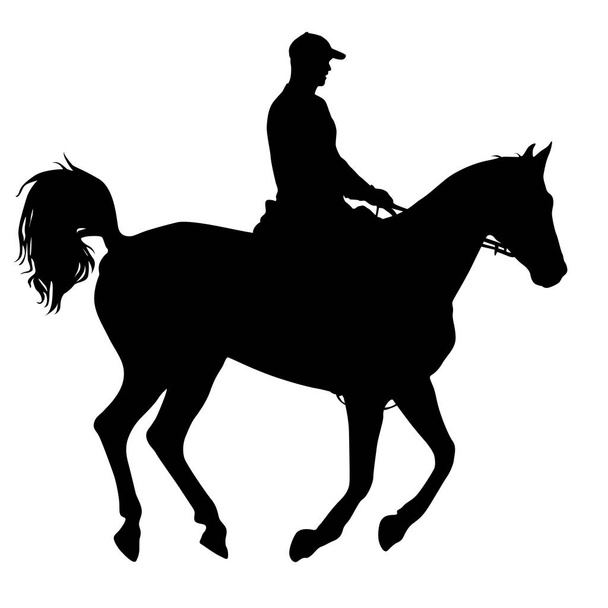 A fekete sziluettje ló és zsoké - Vektor, kép