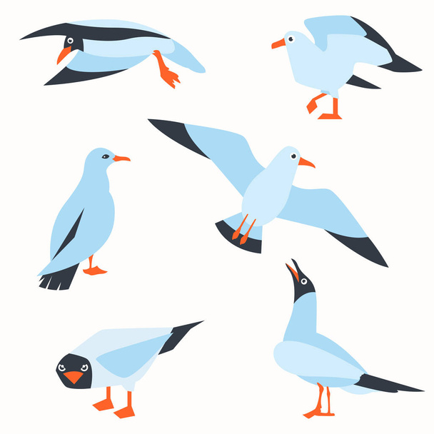 Conjunto vectorial de hermosas gaviotas en un estilo plano aislado sobre fondo blanco. Sea Gull, un hermoso pájaro. Lindo pájaro en estilo de dibujos animados. Dibujos animados aves marinas atlánticas
. - Vector, Imagen