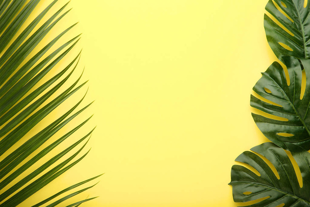 Green palm and monstera leaf on yellow background - Фото, зображення