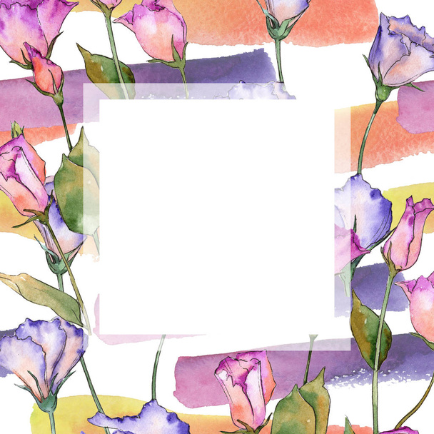 ピンクと紫のトルコギキョウ。花植物の花。野生のばねリーフ ワイルドフラワー フレーム. - 写真・画像
