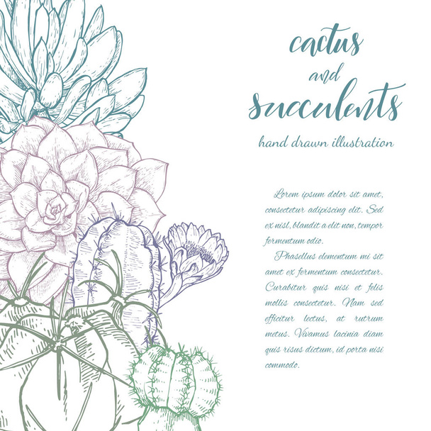 Cactus lineales y suculentas
 - Vector, imagen