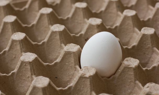 White egg in the egg box - Photo, Image