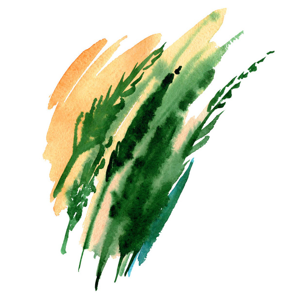 Akvarell, kézzel festett zöld fű. A design elemek - Fotó, kép