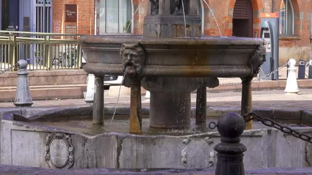 Brunnen in der Nähe der Kathedrale von Toulouse (Cathedrale Saint-Etienne) ist eine römisch-katholische Kirche in der Stadt Toulouse, Haute-Garonne, Frankreich. Kathedrale ist Nationaldenkmal und Sitz des Erzbischofs - Filmmaterial, Video
