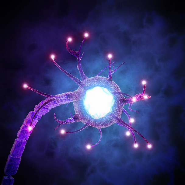 Szinapszis egy szerkezet, amely lehetővé teszi egy neuron (vagy idegsejt) az elektromos és kémiai jel átadni, illetve egy másik neuron efferens célcellára. idegrendszer - Fotó, kép