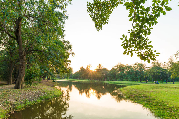 Ciudad parque público verde árbol follaje con estanque puesta de sol escena
 - Foto, imagen