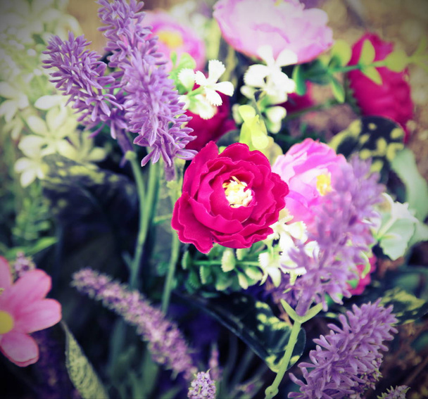 fondo de flores de lavanda y muchas otras plantas en primavera
 - Foto, imagen