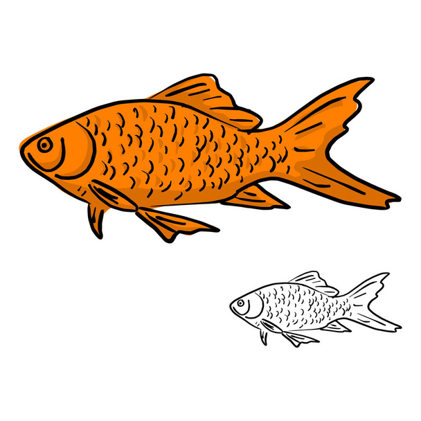 orange fish vector illustration sketch doodle hand drawn with black lines isolated on white background - Vector, Image