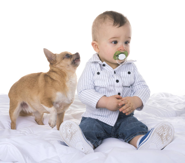 human baby and chihuahua in front of white background - Fotoğraf, Görsel