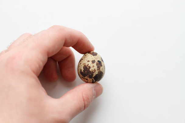 Держите перепелиное яйцо в руке
 - Фото, изображение