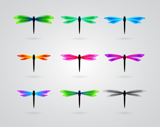 collection of different color butterfly - Vektor, obrázek