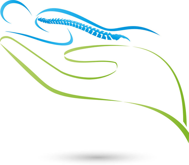 Spine, hand, person, orthopedics, physiotherapy, massage, logo - Vector, Image