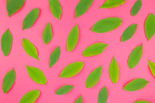 Креативный плоский вид сверху со свежими зелеными листьями на ярко-розовом фоне в минимальном стиле поп-арта
 - Фото, изображение