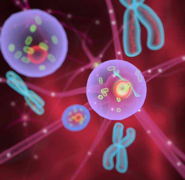 Células Moléculas Cromossomas
 - Foto, Imagem