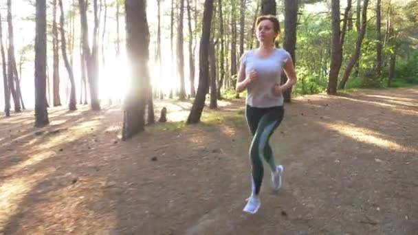Kobieta ucieka na szlak w lesie słoneczne lato. motywacji do aktywności sportowej, na zewnątrz, szkolenia i ćwiczeń w pięknej przyrody. Słoneczny blask, zwolnionym tempie 4k, steadicam strzał - Materiał filmowy, wideo