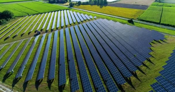 Solar panels in aerial view - Filmati, video