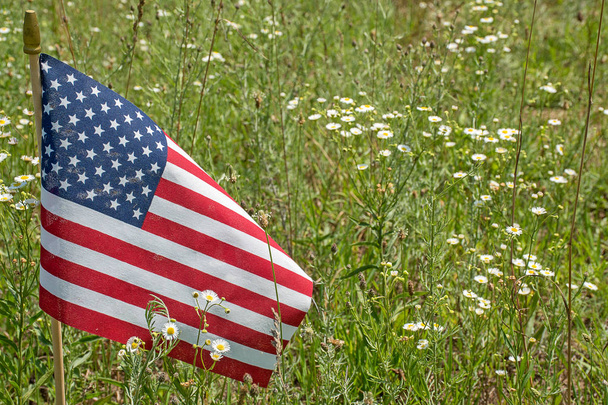 American flag in a country field of white daisy wildflowers - Foto, afbeelding