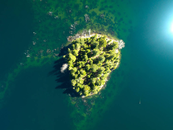 Pacific Northwest Evergreen Tree Island Desde Arriba Calma Agua
 - Foto, imagen