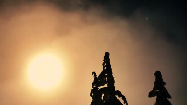 Ядерная зима Оранжевые светящиеся облака быстро движутся Силуэт Солнце Свет Темное Черное Небо Замороженные Деревья
 - Кадры, видео