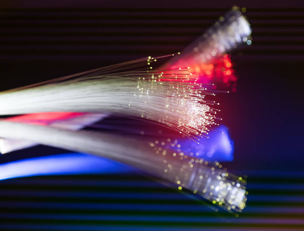 fibra óptica línea de red cable fondo
 - Foto, Imagen