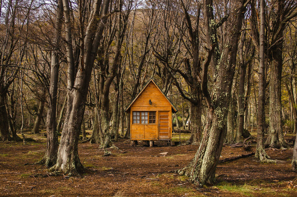 καλύβα στο δάσος Τιέρρα ντελ Φουέγο Παταγονία Αργεντινή - Φωτογραφία, εικόνα