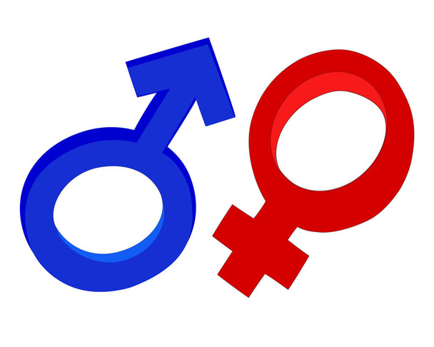 male female gender symbols vector - Vector, Imagen