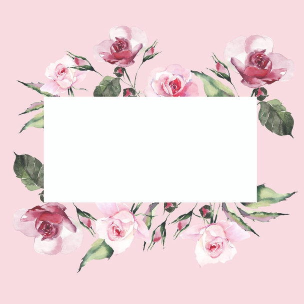 Красивый нежный нежный сложный прекрасный прекрасный милый весенний цветочный травяной растительный ботанический красный порошок розовые розы с зелеными листьями карты на розовом фоне акварель руку иллюстрации
 - Фото, изображение