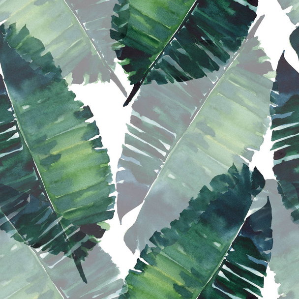 Tropical cute lovely wonderful hawaii floral herbal summer green palm leaves watercolor hand illustration. Perfect for textile, wallpapers, cards - Foto, immagini