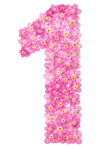 Arabic numeral 1, one, from pink forget-me-not flowers, isolated on white background - Foto, Bild