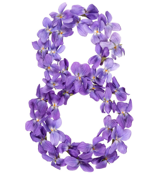 Arabic numeral 8, eight, from flowers of viola, isolated on white background - Φωτογραφία, εικόνα